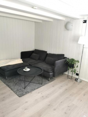 Cozy apartment near city centre